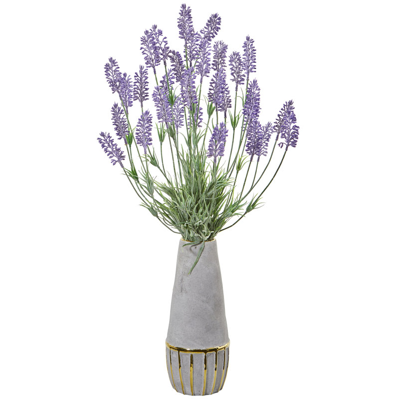 Ophelia & Co. Lavender Plant in Decorative Vase Wayfair
